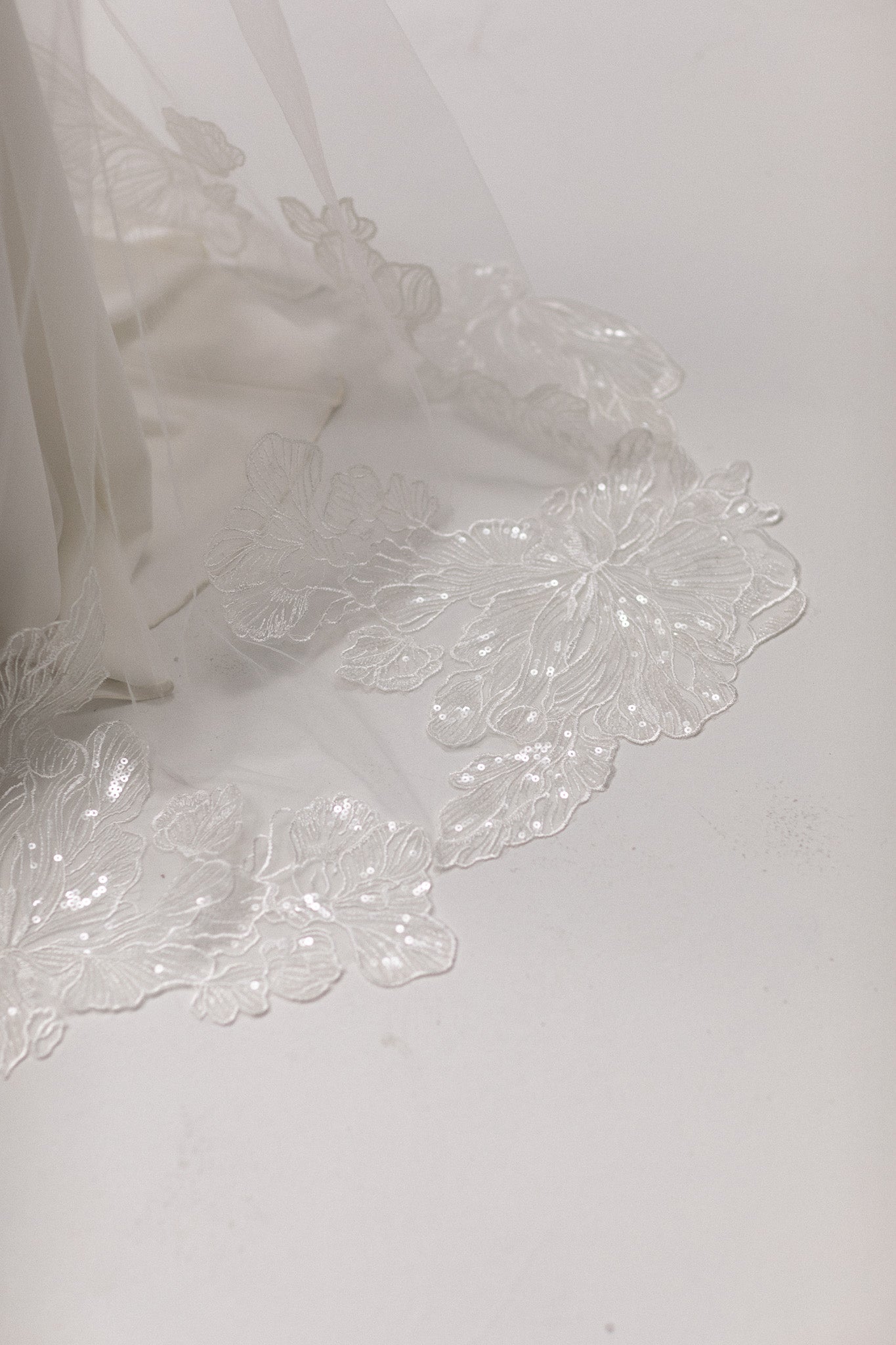 French lace cathedral tulle veil